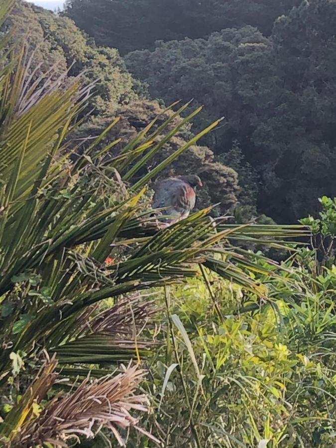 Muriwai Lodge 외부 사진
